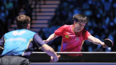 利提醒了莎 利提醒了莎