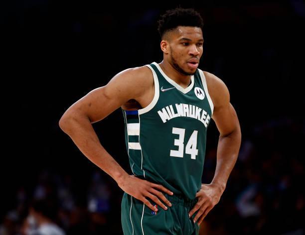 贝尔特雷达 贝尔特雷达